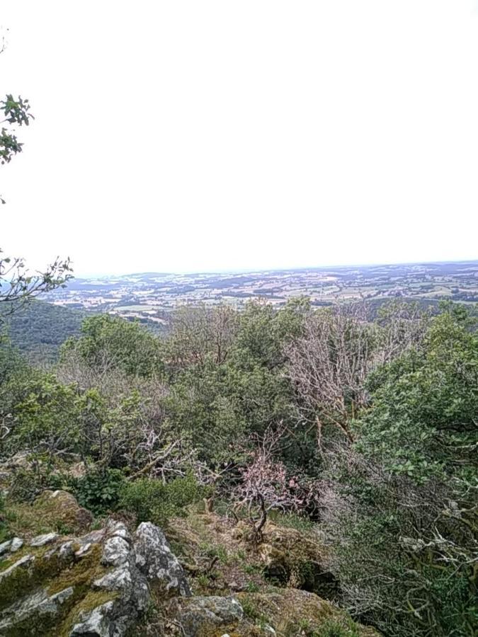 Camping La Foret Du Morvan Larochemillay Экстерьер фото